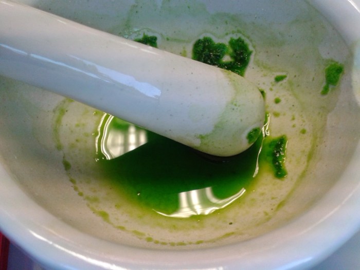 begonia leaf pigment extraction